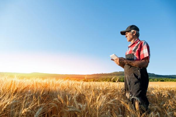 Imagen campesino en campo de trigo